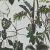 RAINFOREST